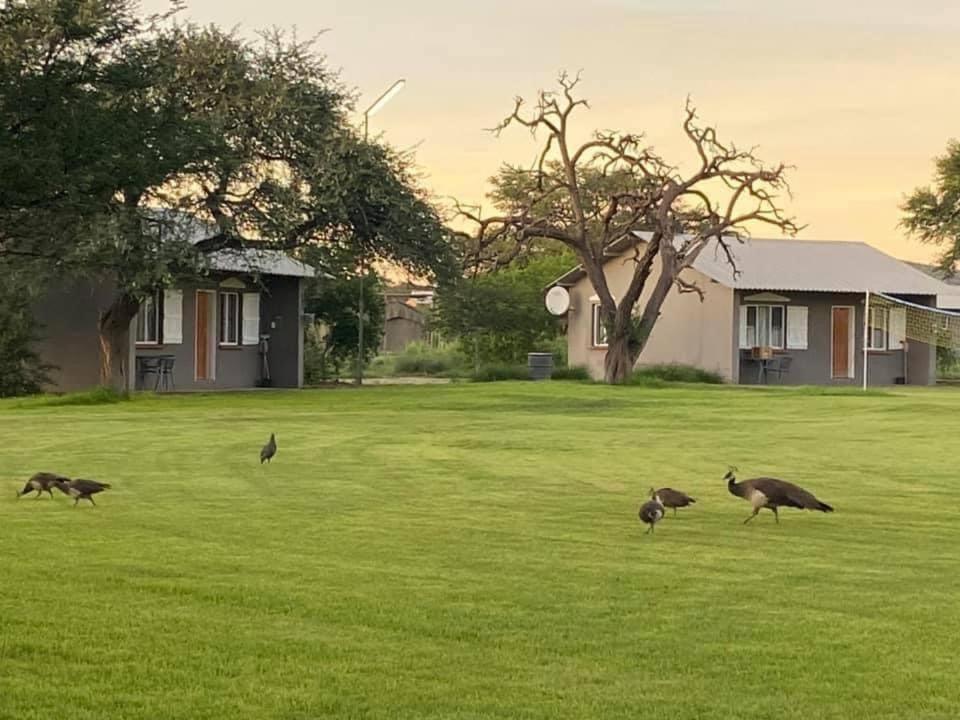 Out Of Nature Country Lodge Windhoek Exterior foto